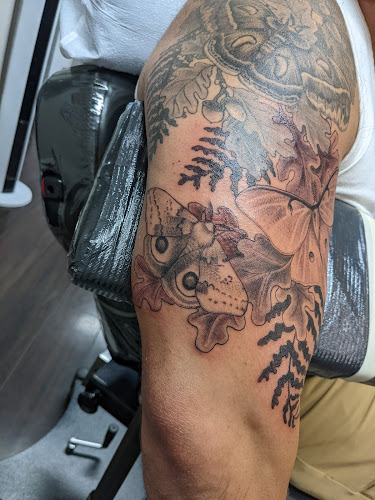 Work by South Water Studios