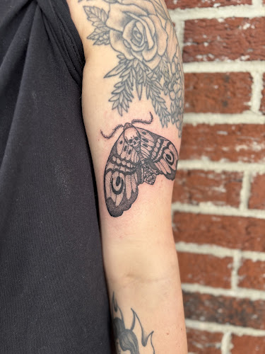 Work by The Hive Art Collective