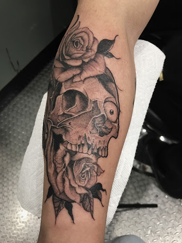 Work by Andromeda Studio 33
