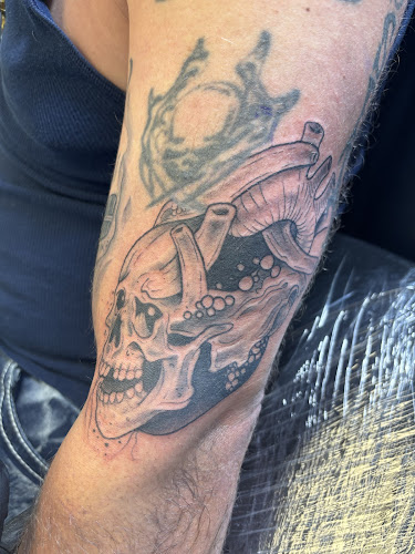 Work by Sanctuary