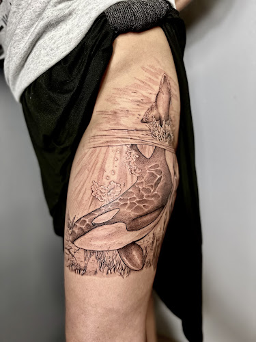 Work by Drip Studios
