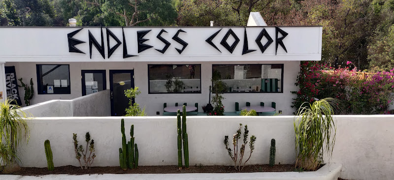 Work by Endless Color